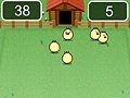 Gra Corral chickens in a chicken coop