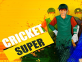 Gra Super Cricket      