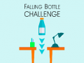 Gra Falling Bottle Challenge