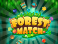 Gra Forest Match