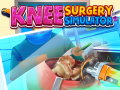 Gra Knee Surgery Simulator