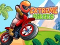 Gra Extreme Bikers