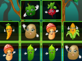 Gra Vegetable Cards Match