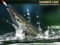 Gra Summer Lake 1.5