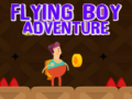 Gra Flying Boy Adventure