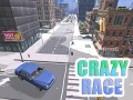 Gra Crazy Race
