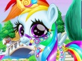 Gra Rainbow Pony Caring