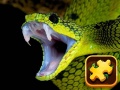Gra Snake Puzzle Challenge