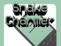 Gra Snake Charmer