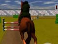 Gra Jumping Horse 3d