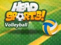 Gra Head Sports Volleyball