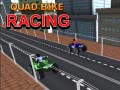 Gra Quad Bike Racing