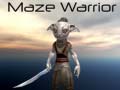 Gra Maze Warrior