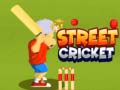 Gra Street Cricket