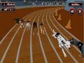 Gra Crazyl Dog Racing Fever