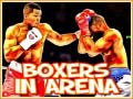 Gra Boxers in Arena