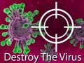 Gra Destroy The Virus