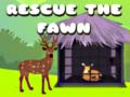 Gra Rescue the fawn