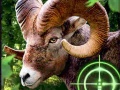 Gra Crazy Goat Hunter 2020