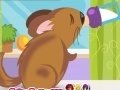 Gra Chinchilla Pet Care