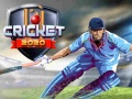 Gra Cricket 2020