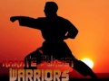 Gra Karate Sunset Warriors