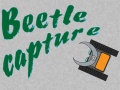 Gra Beetle Capture