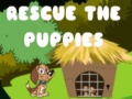 Gra Rescue The Puppies