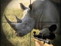 Gra Wild Rhino Hunter