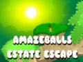Gra Amazeballs Estate Escape