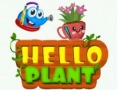 Gra Hello Plant 