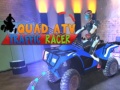 Gra Quad ATV Traffic Racer