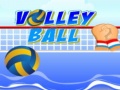 Gra Volley ball