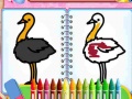 Gra Coloring Birds Game