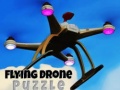 Gra Flying Drone Puzzle