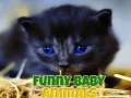 Gra Funny Baby Animals