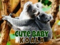 Gra Cute Baby Koala Bear