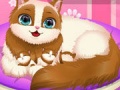 Gra Cute Kitty Pregnant