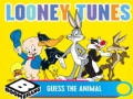 Gra Looney Tunes Guess the Animal