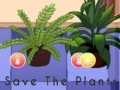 Gra Save the Plants