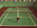 Gra Tennis Court