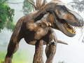 Gra Tyrannosaurus Rex Carnivore Jigsaw