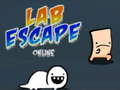 Gra Lab Escape Online