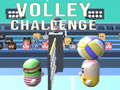 Gra Volley Challenge