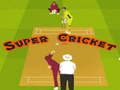 Gra Super Cricket 