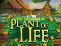 Gra Plant of Life