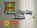 Gra Lovely Tiny Boy Escape