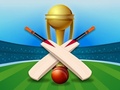 Gra Cricket Champions Cup