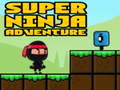 Gra Super Adventure Ninja