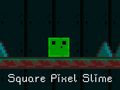 Gra Square Pixel Slime